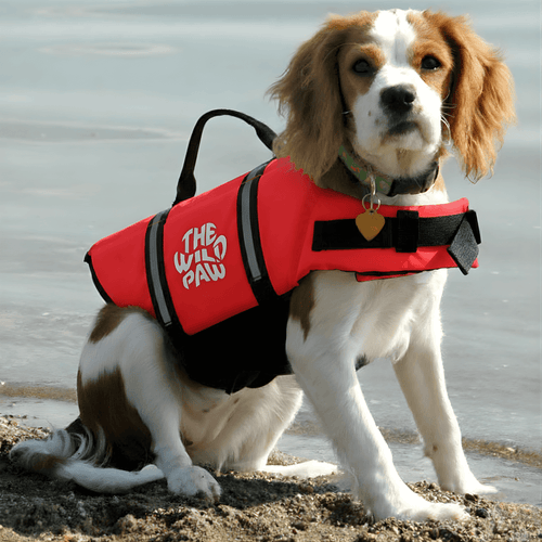 AquaGuard Pro Life Jacket